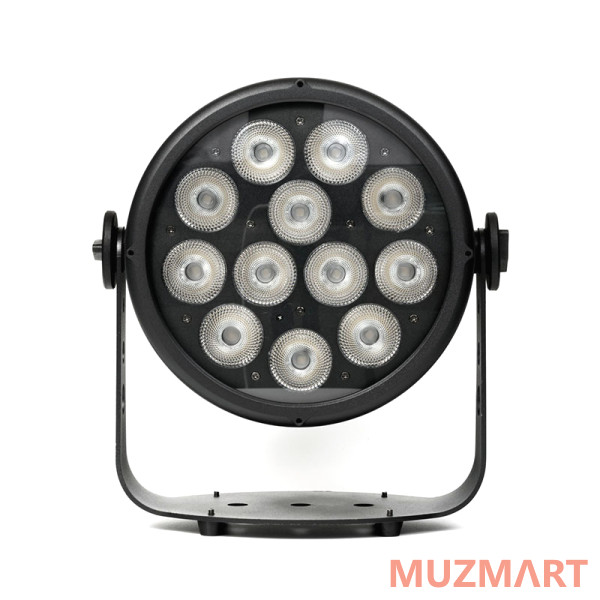 Stage4 REPAR 12x8CW IP Прожектор типа PAR