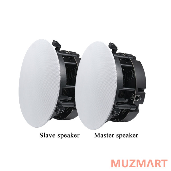 DSPPA DW-2235 WI-FI громкоговорители (пара)