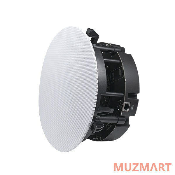 DSPPA DW-2235 WI-FI громкоговорители (пара)