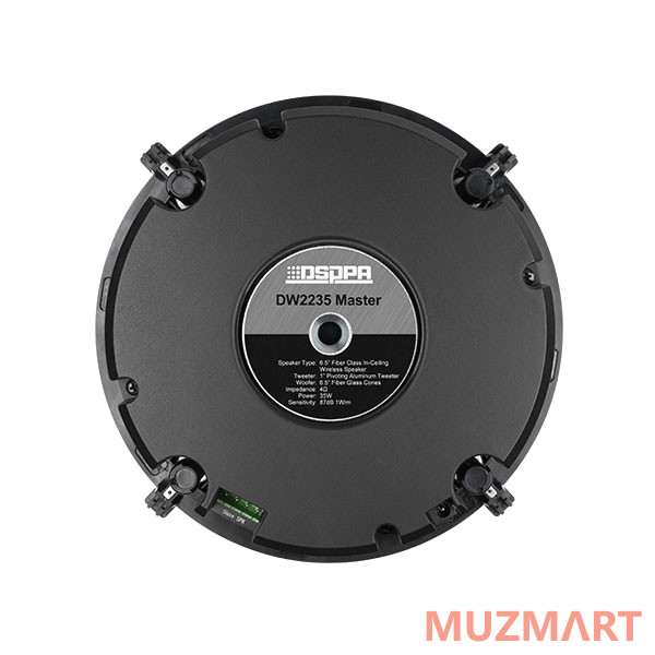 DSPPA DW-2235 WI-FI громкоговорители (пара)