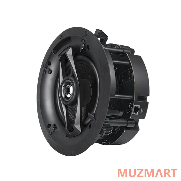 DSPPA DW-2235 WI-FI громкоговорители (пара)