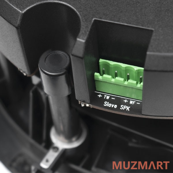 DSPPA DW-2235 WI-FI громкоговорители (пара)