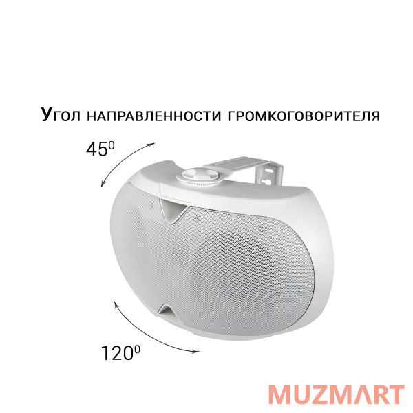 Volta ELLIPSE-2440TW Настенный 2-х полосный громкоговоритель