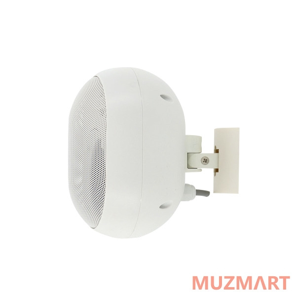 Volta ELLIPSE-315TW Настенный громкоговоритель