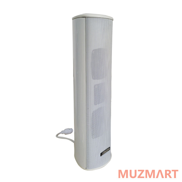DSPPA POE-255 Всепогодный IP-громкоговоритель