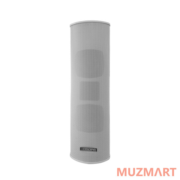 DSPPA POE-255 Всепогодный IP-громкоговоритель