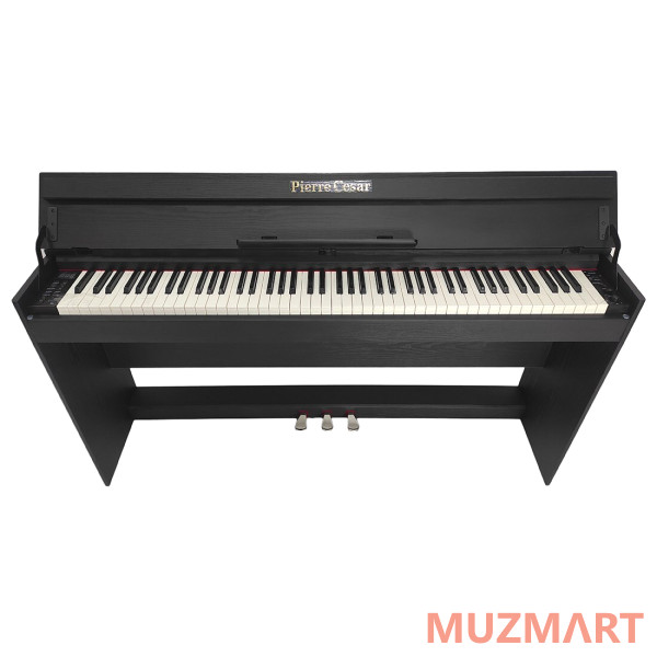 Pierre Cesar XY-2000-H-BK Цифровое фортепиано