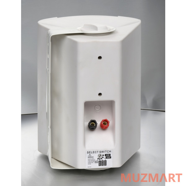 SVS Audiotechnik WS-20 White Громкоговоритель настенный (пара)