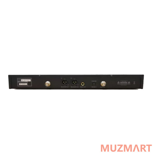 Dreamsound TS-300 Двухканальная микрофонная радиосистема