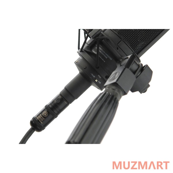 Planet Waves PW-AMSM-25 микрофонный кабель распаянный