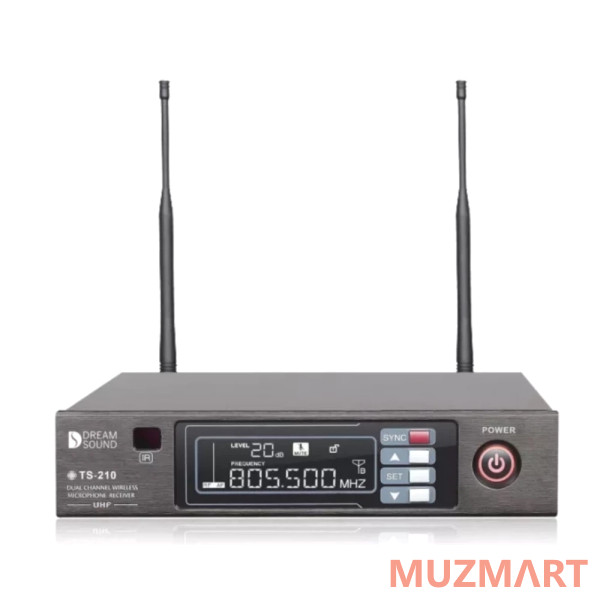Dreamsound TS-210 PLL Одноканальная вокальная радиосистема