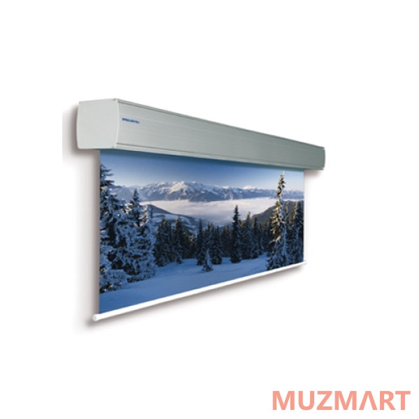 Projecta 10130771 Giantscreen Electrol Проекционный экран 375х600
