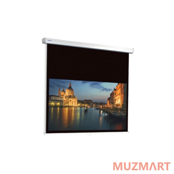 Projecta 10200045 Procinema Matte White Проекционный экран 117x200
