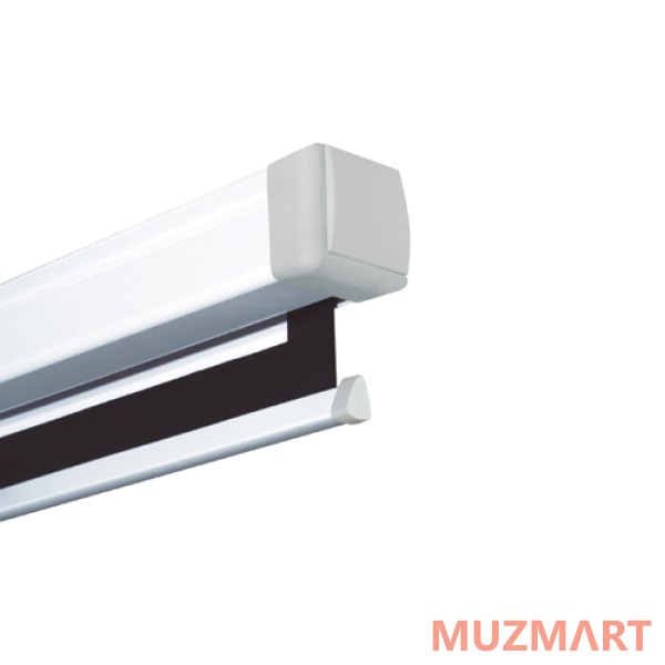 Projecta 10200023 Proscreen Matte White Проекционный экран 139х240