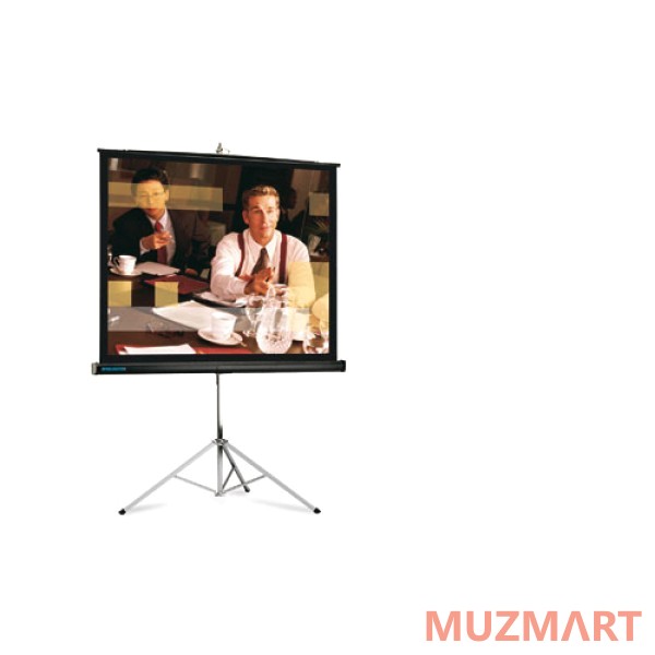 Projecta 10430026 Picture King High Power Проекционный экран 162x213
