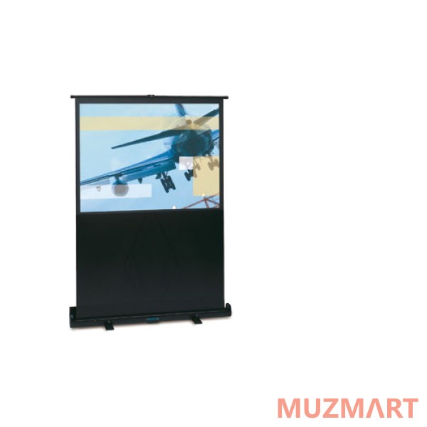 Projecta 10530193 / 93983 Litescreen Matte White High Gain Проекционный экран 122х211
