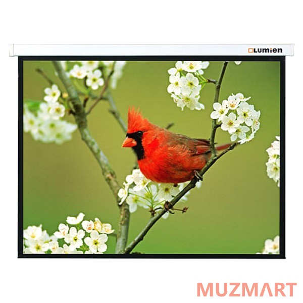 Lumien Master Picture (LMP-100105) Matte White Fiberglass Проекционный экран 213х213