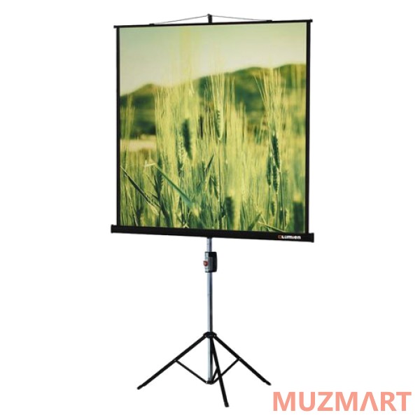 Lumien LMV-100105 Master View Matte White Fiberglass Проекционный экран 244x244