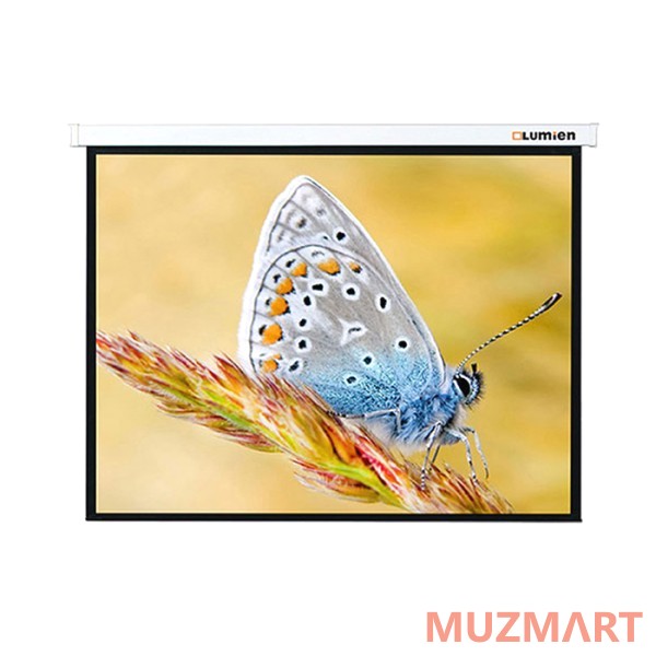 Lumien LMC-100129 Master Control Matte White Fiberglass Проекционный экран 141x220