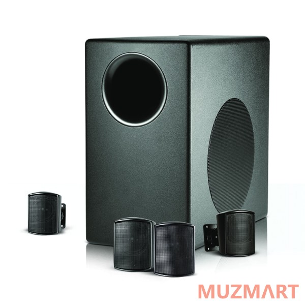 JBL Control 50 Pack Комплект сабвуфер и 4 сателлита