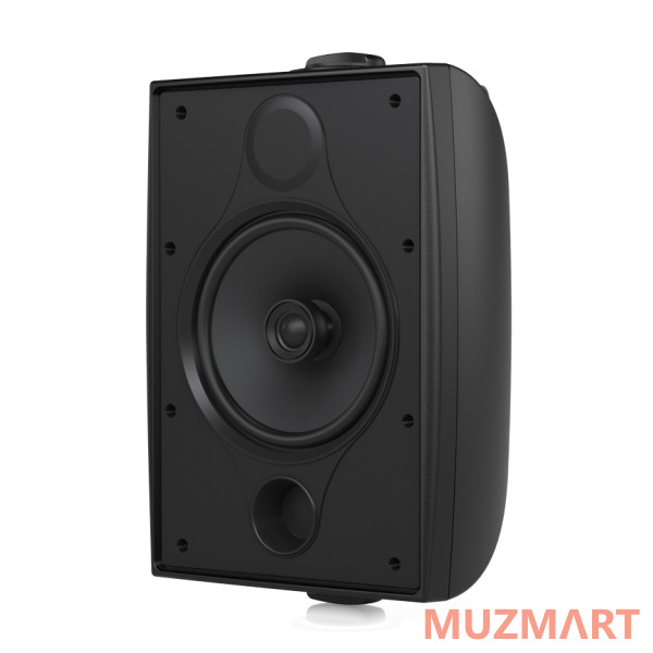 Tannoy DVS 6T Всепогодная пассивная акустическая система