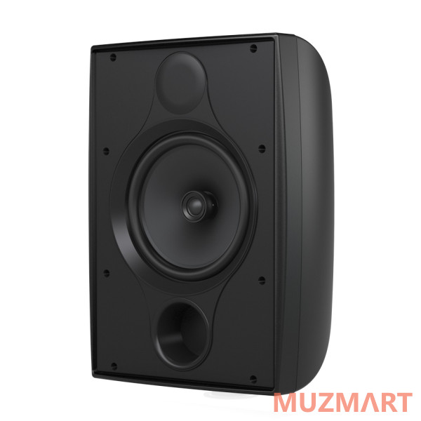 Tannoy DVS 8 Всепогодная пассивная акустическая система