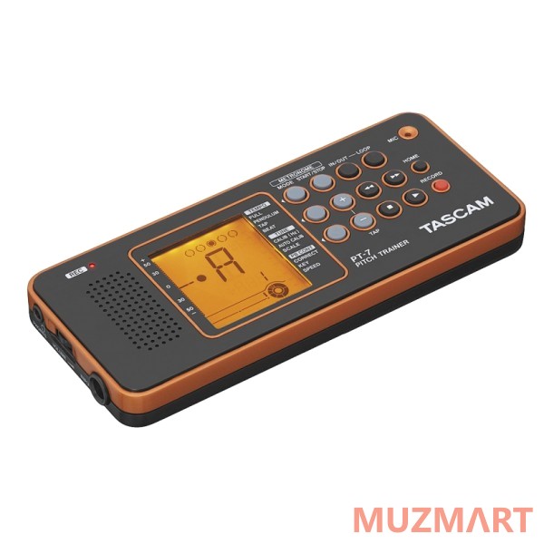 Tascam PT-7 Электронный репетитор/тюнер для вокалистов и акустических инструментов