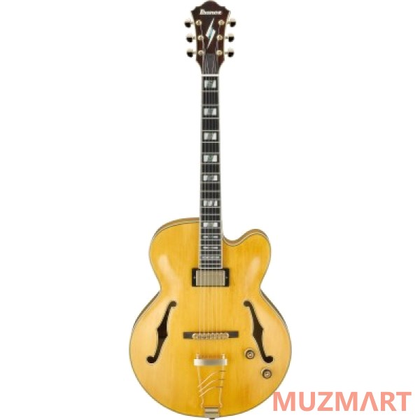 Ibanez PM2-AA Электрогитара полуакустическая