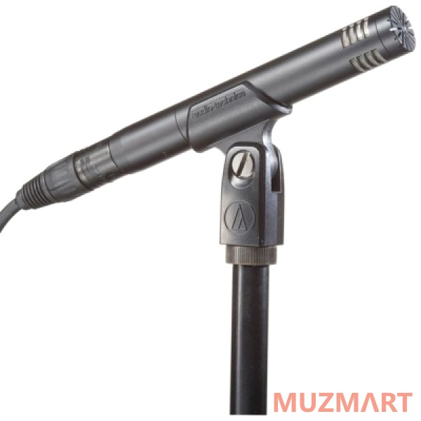 Audio-Technica AT2031P/АТ2031 Студийный микрофон