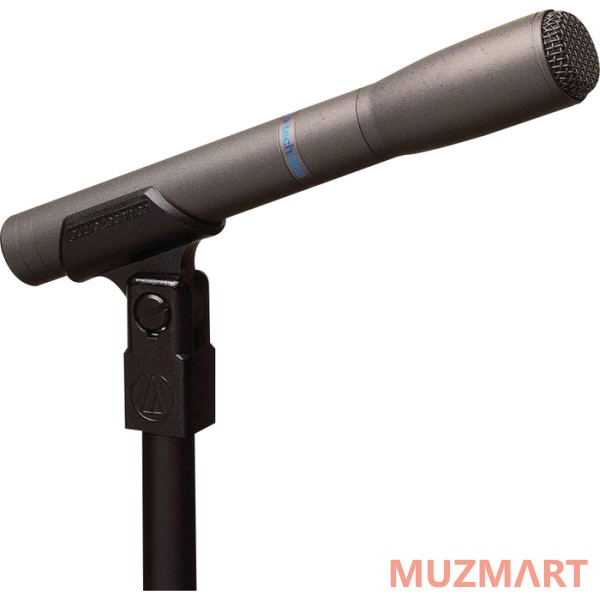 Audio-Technica AT8033 Репортажный микрофон