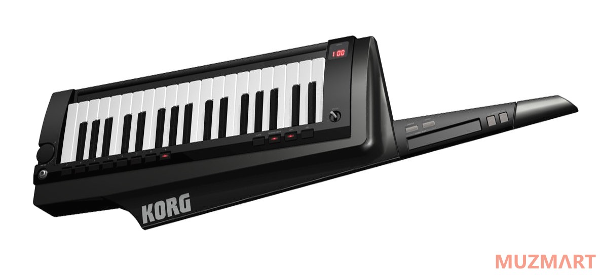 Korg RK-100S-BK Синтезатор
