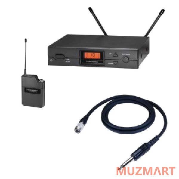 Audio-Technica ATW-2110A/G Радиосистема инструментальная