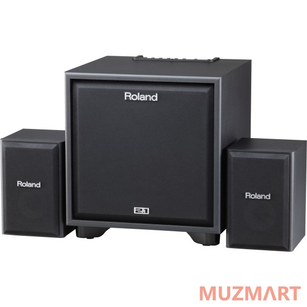 Roland CM-220 Cube Monitor Комплект 2.1