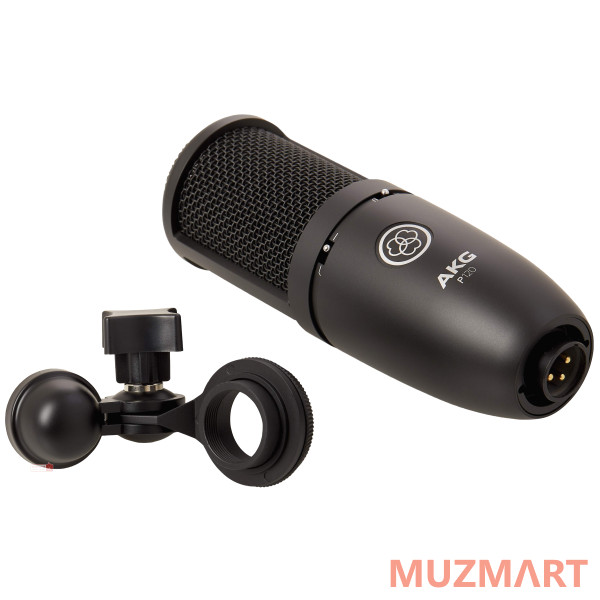 AKG P120 Микрофон конденсаторный кардиоидный