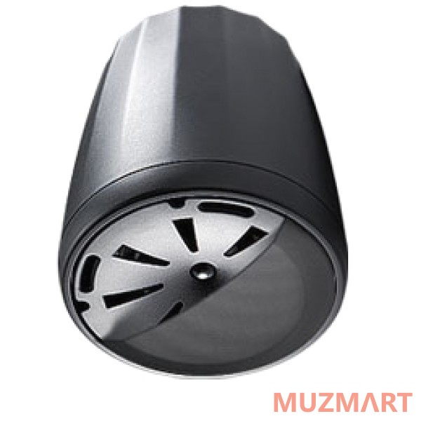 JBL C65P/T Компактная широкополосная подвесная АС