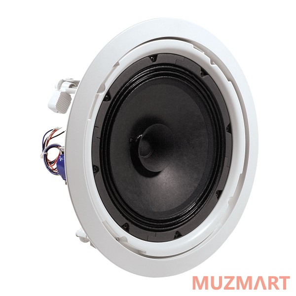 JBL 8128 Потолочный громкоговоритель открытый