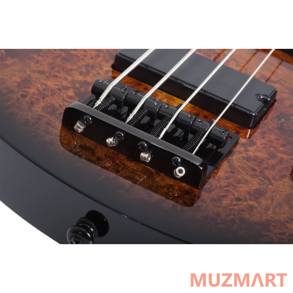 	Schecter C-4 STANDARD TB Гитара бас