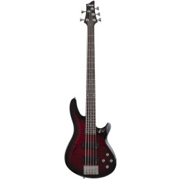 Schecter C-5 Plus STCB Гитара бас
