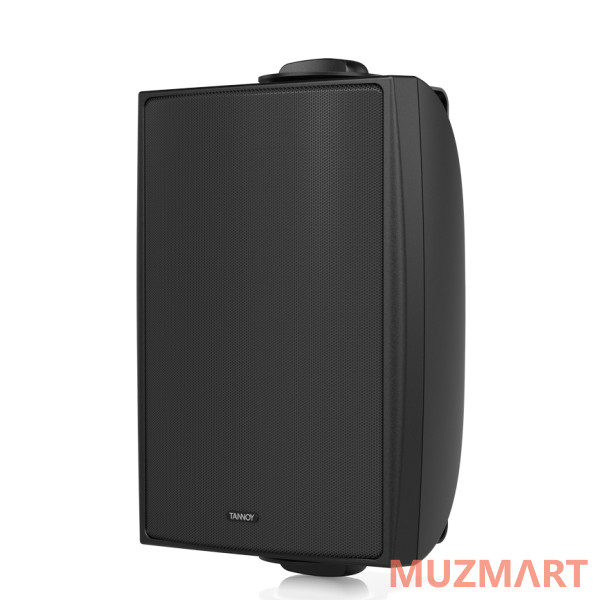 Tannoy DVS 4T Всепогодная пассивная акустическая система