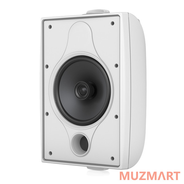 Tannoy DVS 6 WH Всепогодная пассивная акустическая система