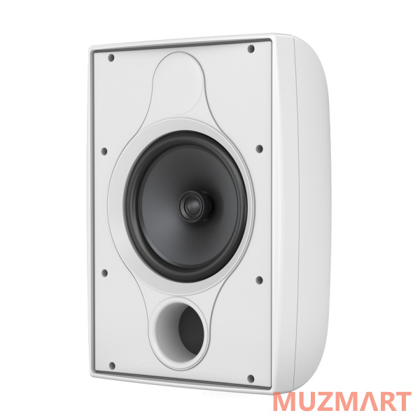 Tannoy DVS 8T WH Всепогодная пассивная акустическая система