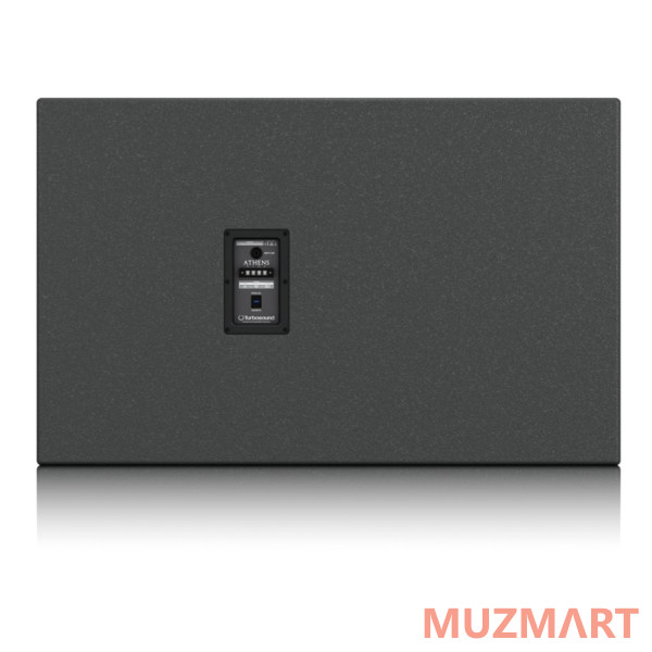 Turbosound ATHENS TCS218B Пассивный сабвуфер