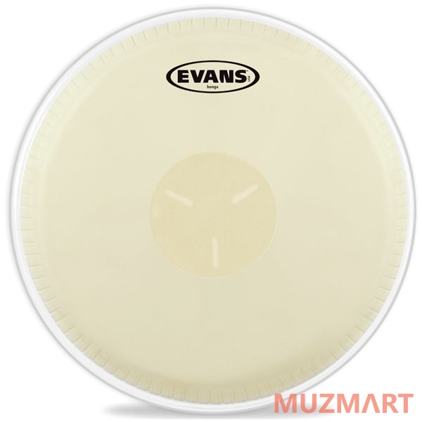 Evans EB07, 7 1/4" Пластик для бонго