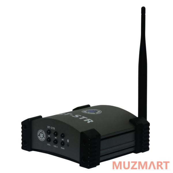 Topp Pro BT-STR Bluetooth плейер