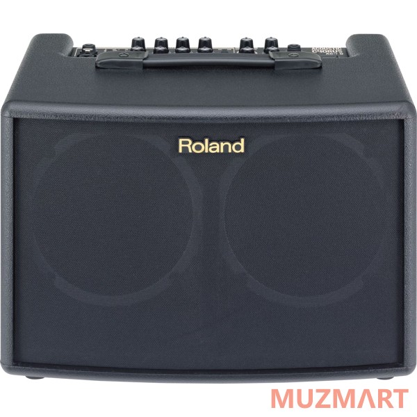 Roland AC-60 Комбоусилитель для акустической гитары