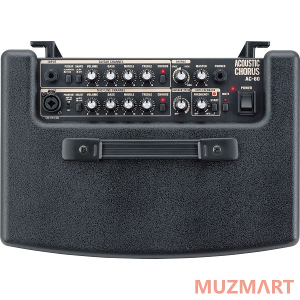 Roland AC-60 Комбоусилитель для акустической гитары