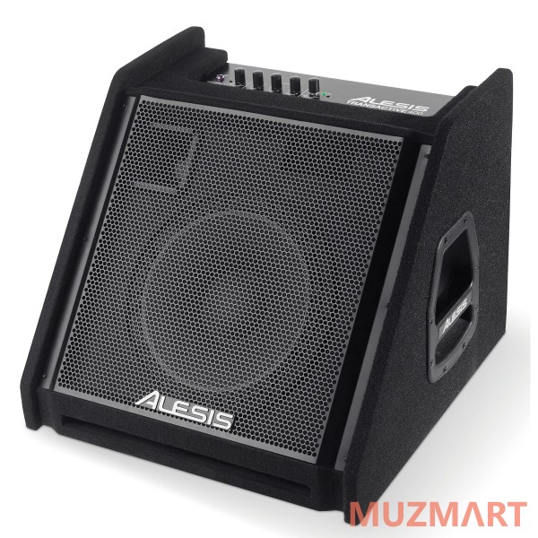 Alesis TRANSACTIVE 400 Комбоусилитель для электронных барабанов