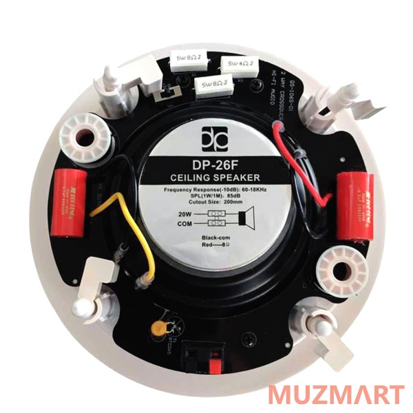 Direct Power Technology DP-26F Потолочная акустическая система