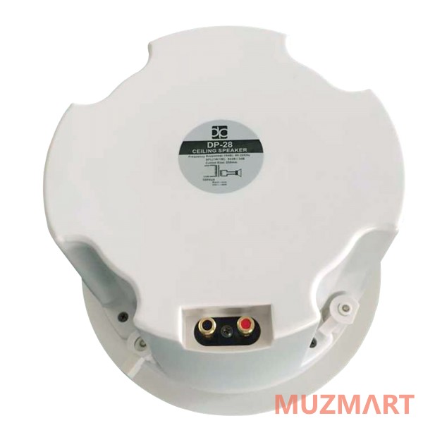Direct Power Technology DP-28 Потолочная акустическая система