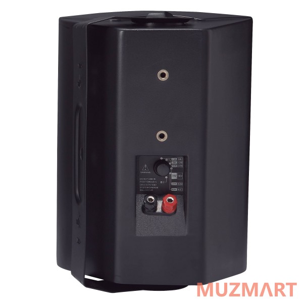 Direct Power Technology DP-74P Настенная акустическая система